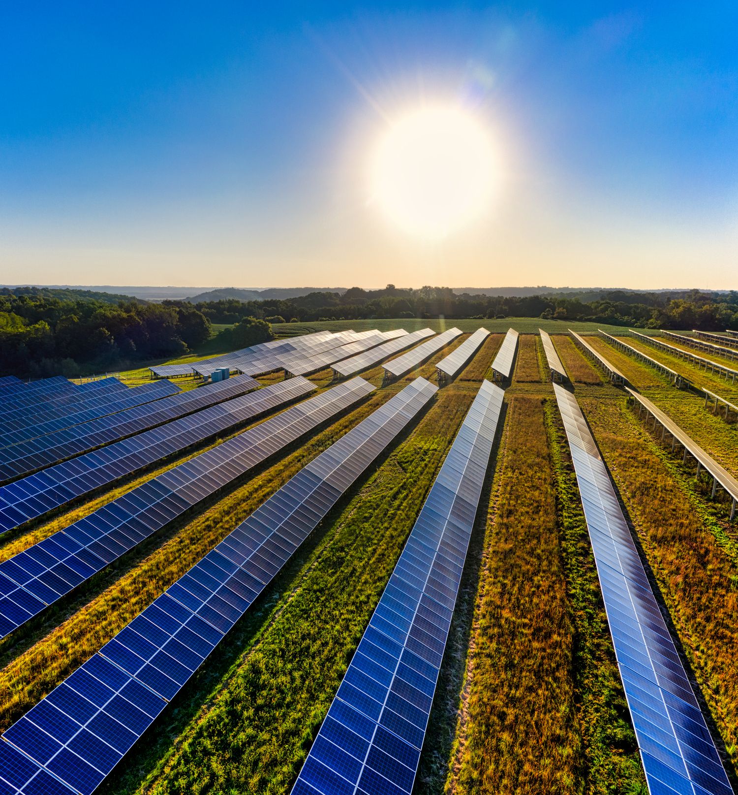 Gün doğumunda tarla üzerine kurulu güneş enerjisi santrali